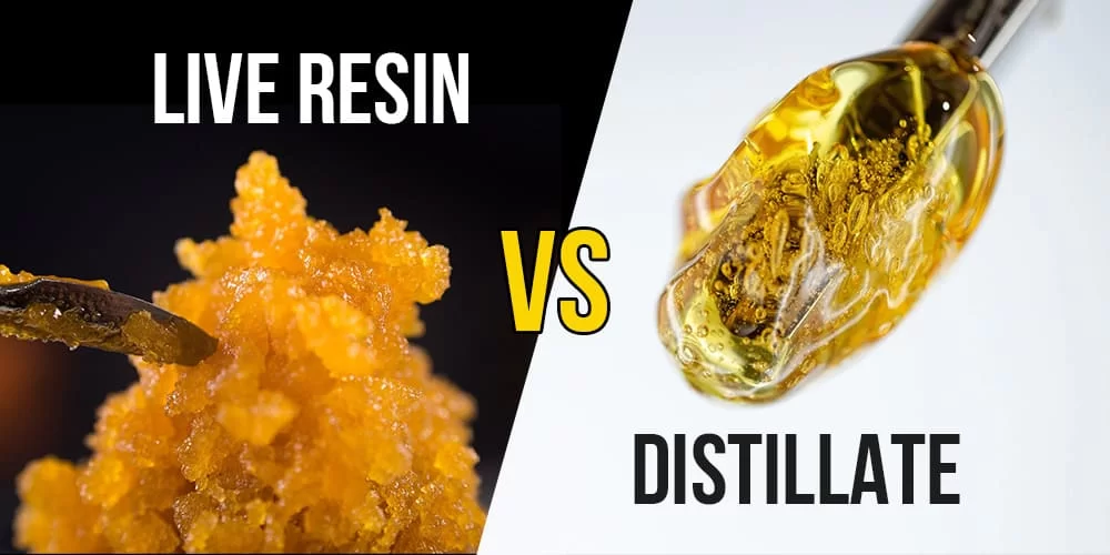 Live Resin vs Rosin vs Distillate